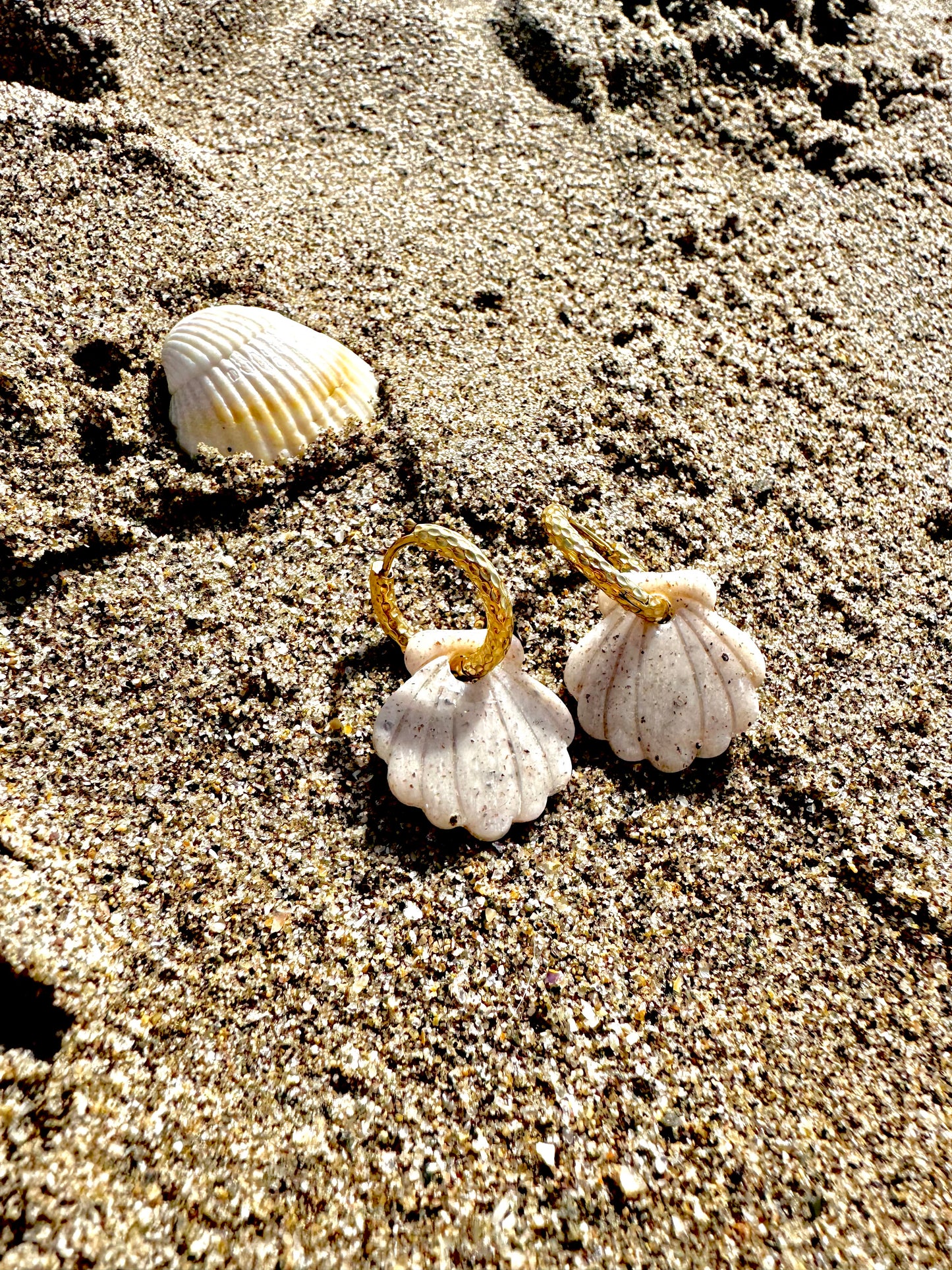 Coquillages