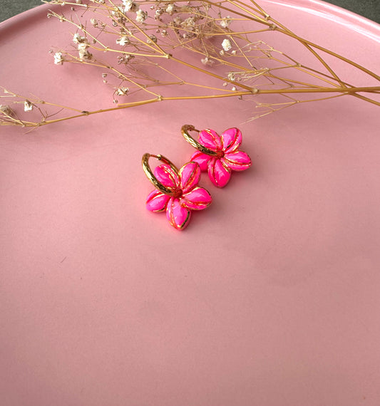 Frangipanier FUSHIA