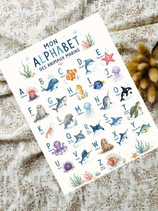 Affiche alphabet MARIN