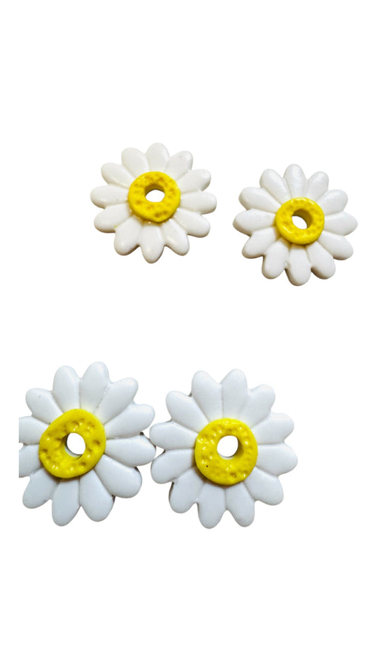 Pampilles marguerites